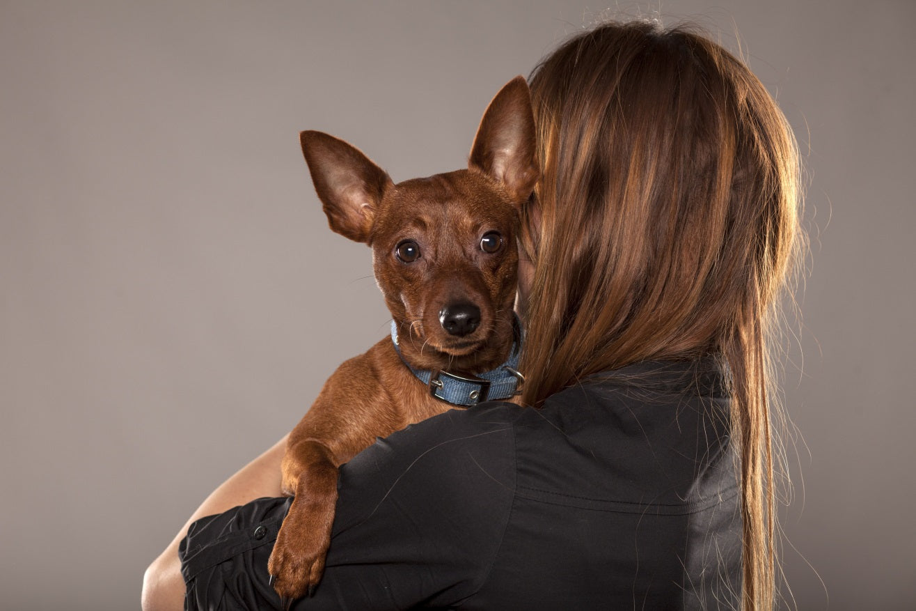 dog being held by owner
