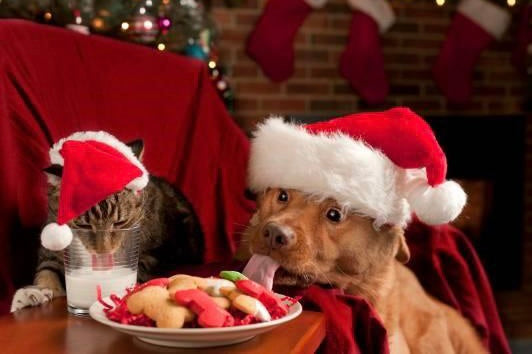 Merry Christmas and Happy New Year!