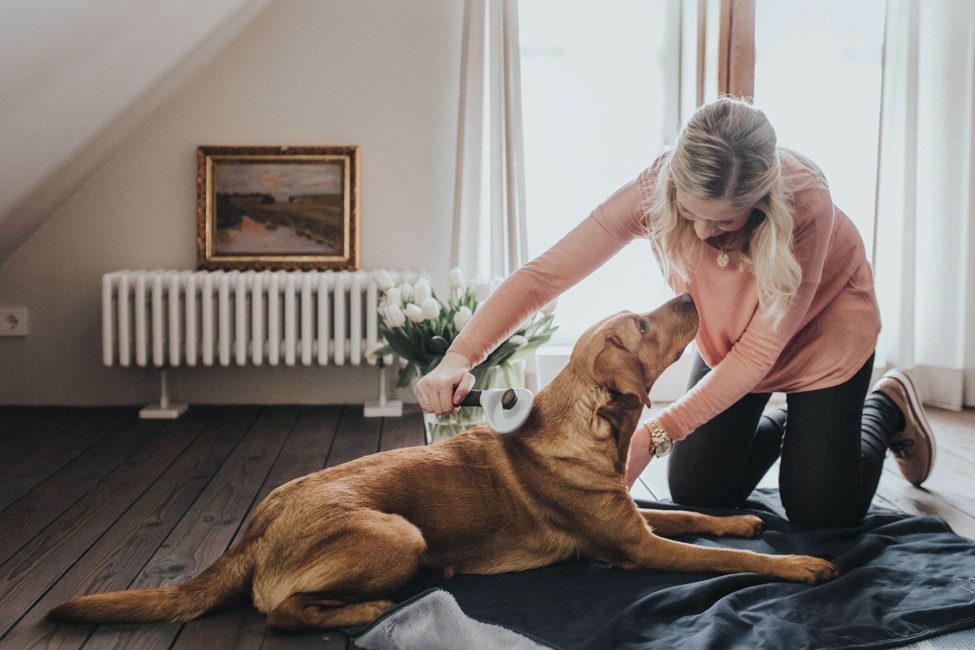 A Guide to Canine Health and Wellness: Nurturing Your Dog's Physical and Mental Well-being