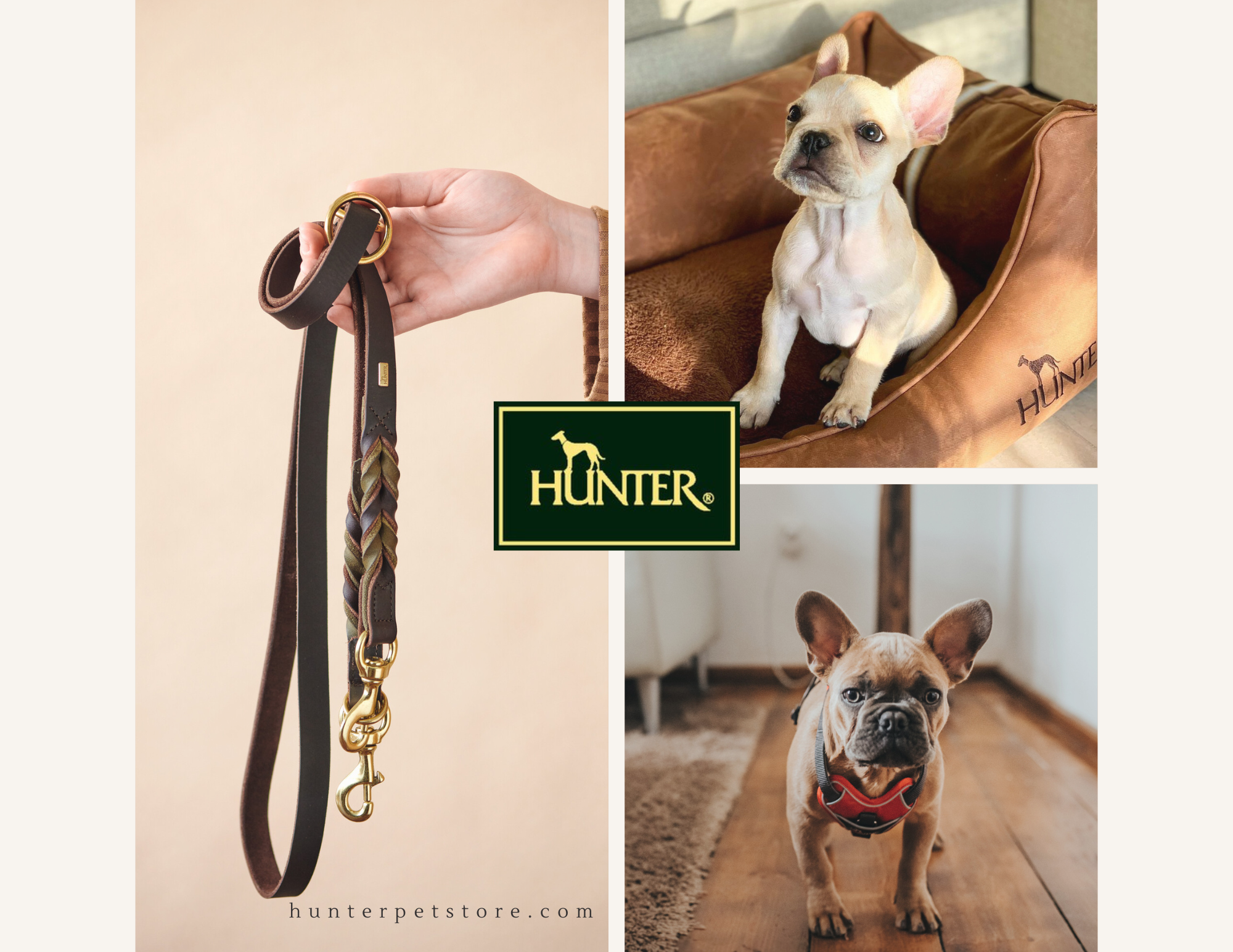 Bringing Home a French Bulldog Puppy: What to Expect and Essentials for a Smooth Start