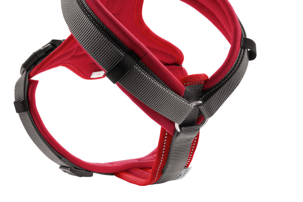 MALDON Harness - Hunter-petstore -made of especially soft cow nappa leather -particularly stable stop ring -stepless adjustable -fur-friendly due to rounded processing -tear-resistant nylon insert -made in Germany