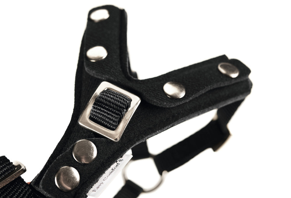 Car Safety Harness EASY COMFORT - Hunter-petstore -made from high-quality nylon material -removable protective pad in the chest area -loop enables attachment to car safety belt -step-less 5-fold adjustable thanks to slider