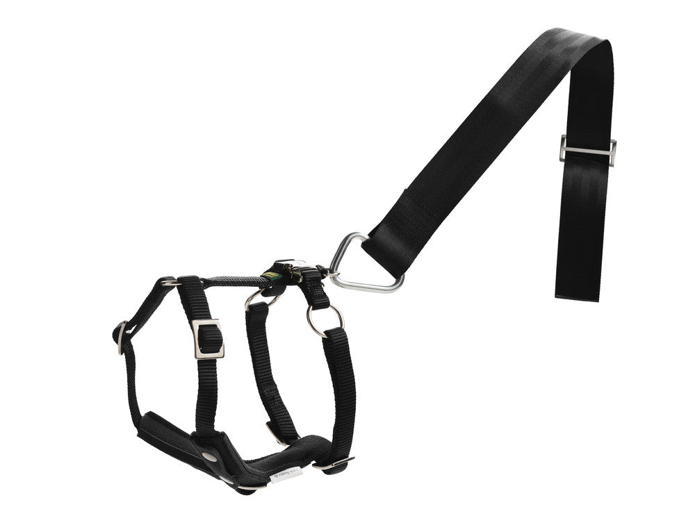 Car Safety Harness EASY COMFORT - Hunter-petstore -made from high-quality nylon material -removable protective pad in the chest area -loop enables attachment to car safety belt -step-less 5-fold adjustable thanks to slider