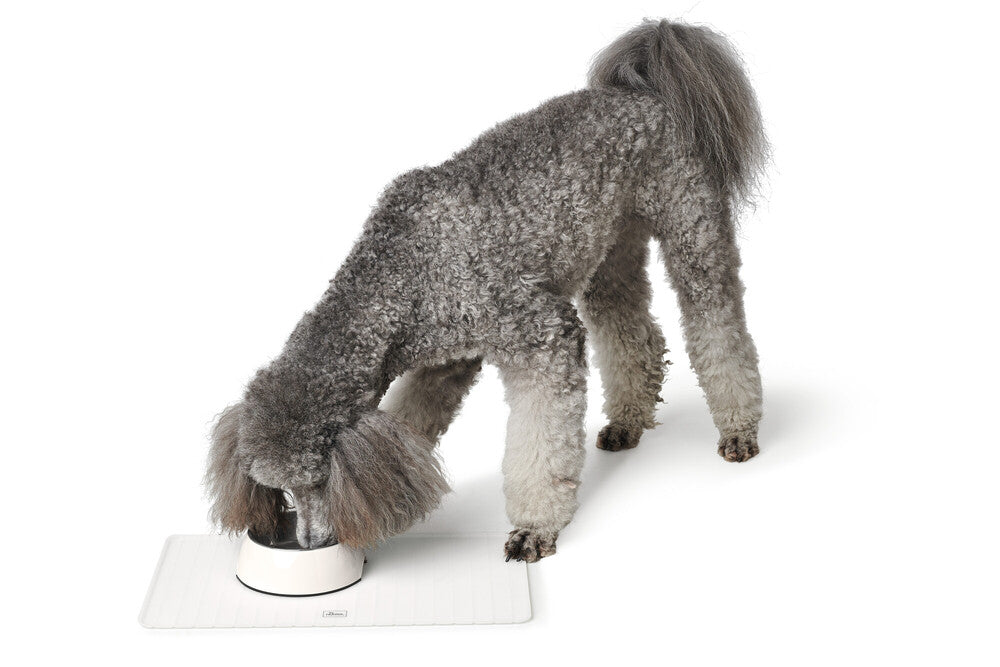 FOLDABLE Silicone Pad - Hunter-petstore -bowl base that protects floors -with raised rim -foldable / small packing size -ideal for traveling and on the road -flexible material that keeps its shape -slip-resistant -easy to clean and dishwasher-safe