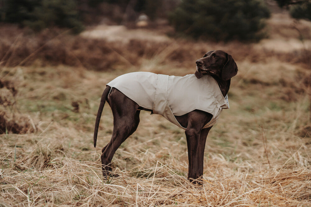 MILFORD Raincoat - Hunter-petstore -lightweight wind repellent and waterproof raincoat for dogs -with neck collar and closed belly area -individually adjustable belly strap with Velcro fastener -opening for the attachment of a leash to the collar and harness -elastic loops for the hind legs -attractive, classic design -washable at 90 °F
