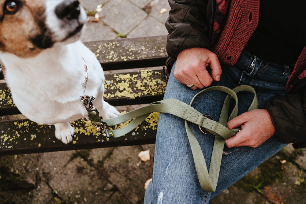 INARI Adjustable Leash - Hunter-petstore -versatile leash for dogs -3-way adjustment -soft and tear-resistant polyester material -easy to clean and quick drying -with practical pincer carabiner
