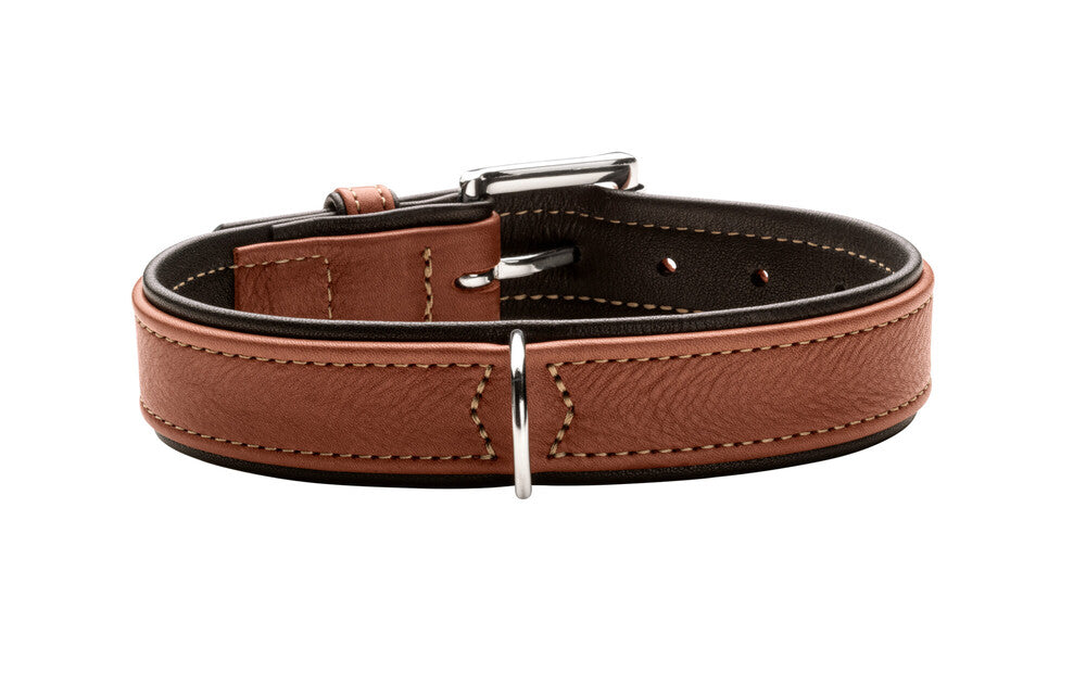 CANADIAN UP Collar - Hunter-petstore -classic collar for dogs -with premium leather from ecological and socially responsible production -noble and luxurious - for highest demands -particularly soft and supple feel -gentle processing for high wearing comfort