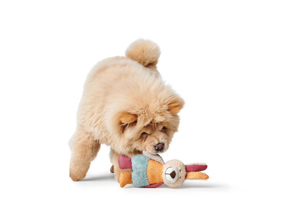 MULI Rabbit Dog Toy - Hunter-petstore -ideal for puppies and dogs that like to cuddle -with squeaker -washable at 90 °F -7.09 in