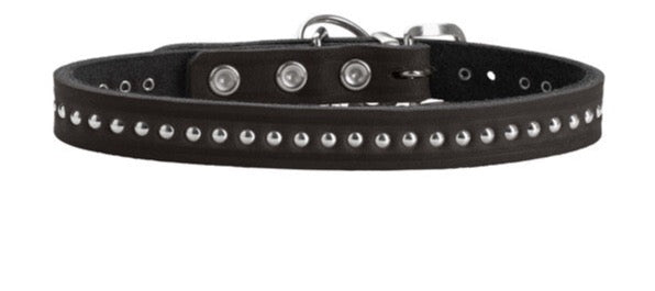 AALBORG Style Collar - Hunter-petstore -heavily greased full cowhide -durable and hard wearing -with stylish rivet trim -with leather key ring -made in Germany
