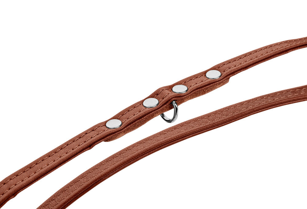 CANADIAN UP Petit Adjustable Leash - Hunter-petstore -versatile training leash for dogs -3-fold adjustment -with premium leather from ecological and socially responsible production -particularly soft and supple feel -noble and luxurious - for highest demands -made in Germany