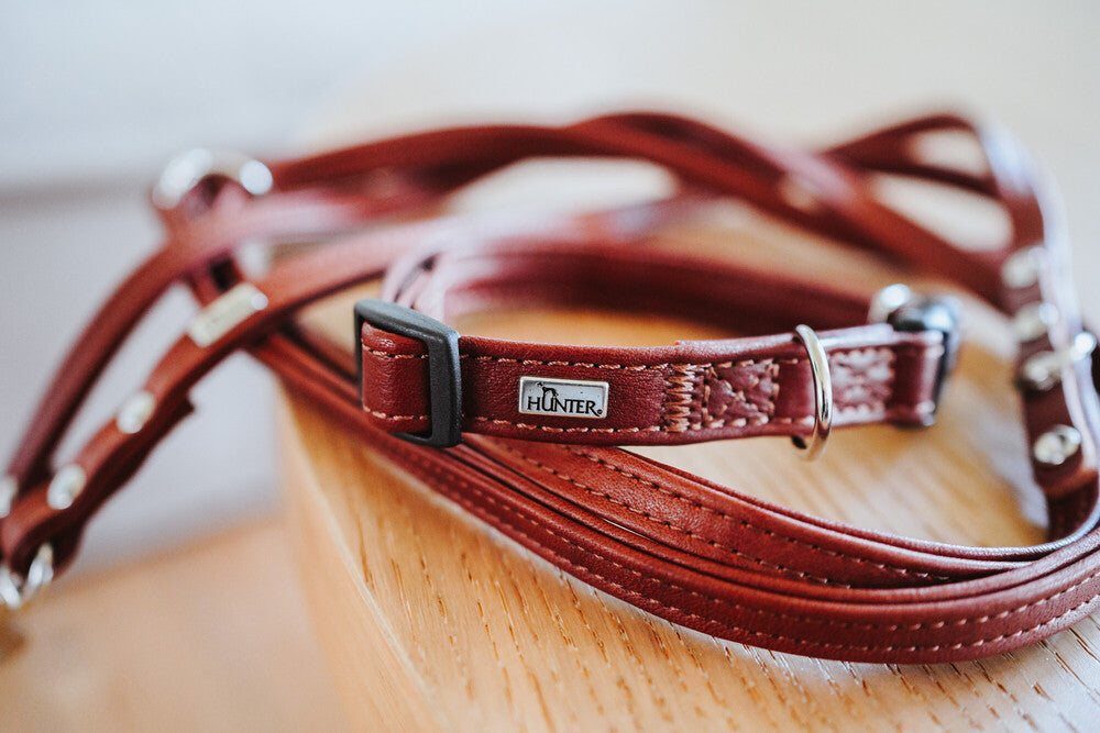 CANADIAN UP Petit Adjustable Leash - Hunter-petstore -versatile training leash for dogs -3-fold adjustment -with premium leather from ecological and socially responsible production -particularly soft and supple feel -noble and luxurious - for highest demands -made in Germany