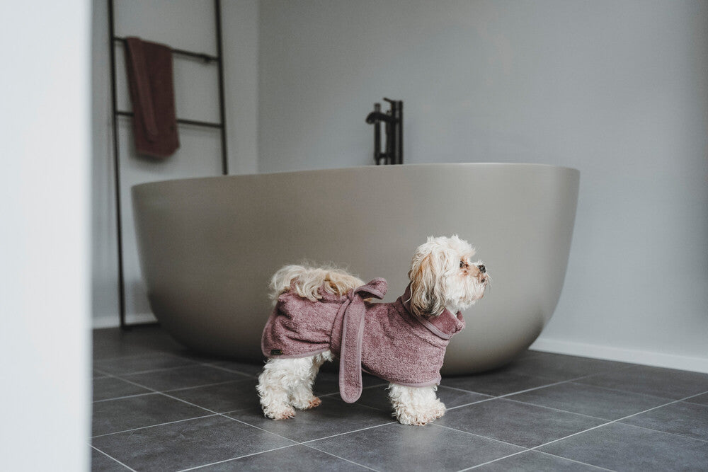 RIGA Bathrobe - Hunter-petstore -dog bathrobe made of particularly absorbent cotton -supports quick drying and protects against cooling down -protects car and furniture from dirt -easy to put on and take off -optional fastening possible by press stud underneath the tail -washable at 140 °F