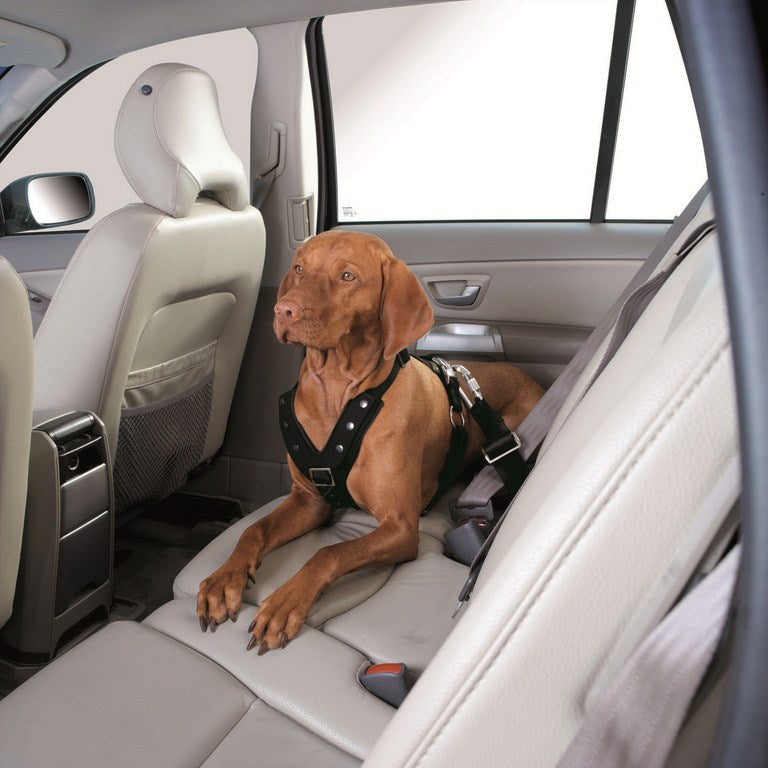 Car Safety Harness EASY COMFORT - Hunter-petstore -made from high-quality nylon material -removable protective pad in the chest area -loop enables attachment to car safety belt -step-less 5-fold adjustable thanks to slider