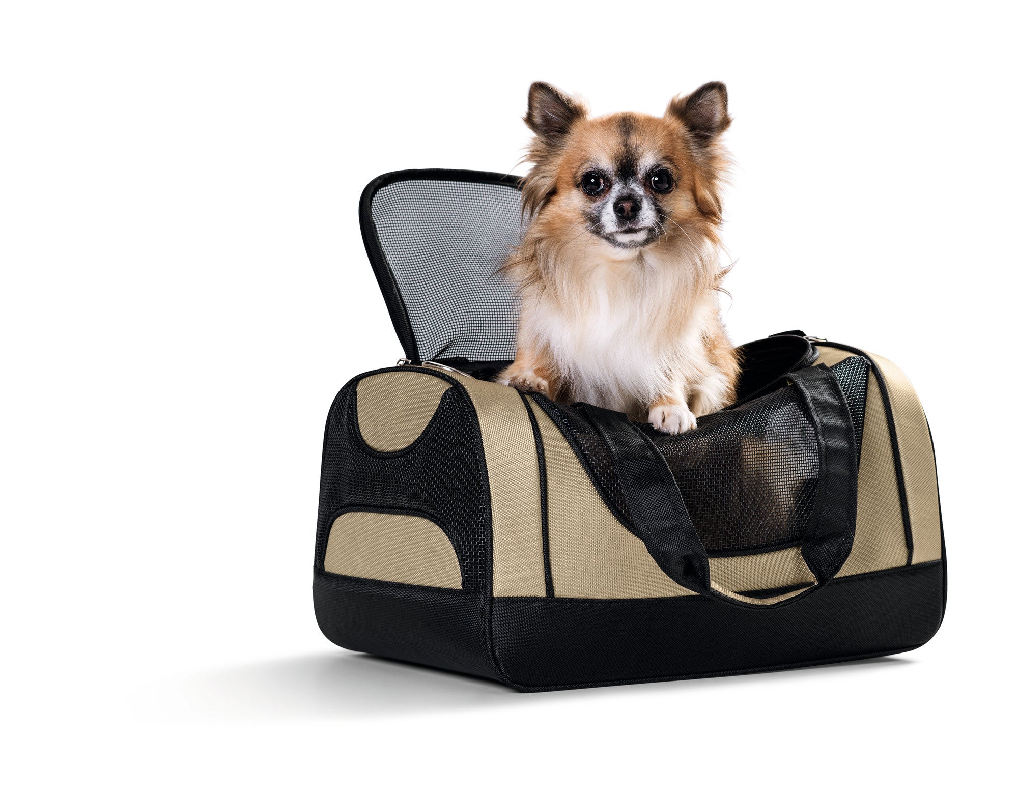 Carrier bag PORTLAND - Hunter-petstore -Carry bag for pets weighing up to 17.6 lbs -Washable, robust material with mesh inserts for optimum air supply -With carrying handle and detachable, adjustable shoulder strap -With two-way zipper -Possible access from the top