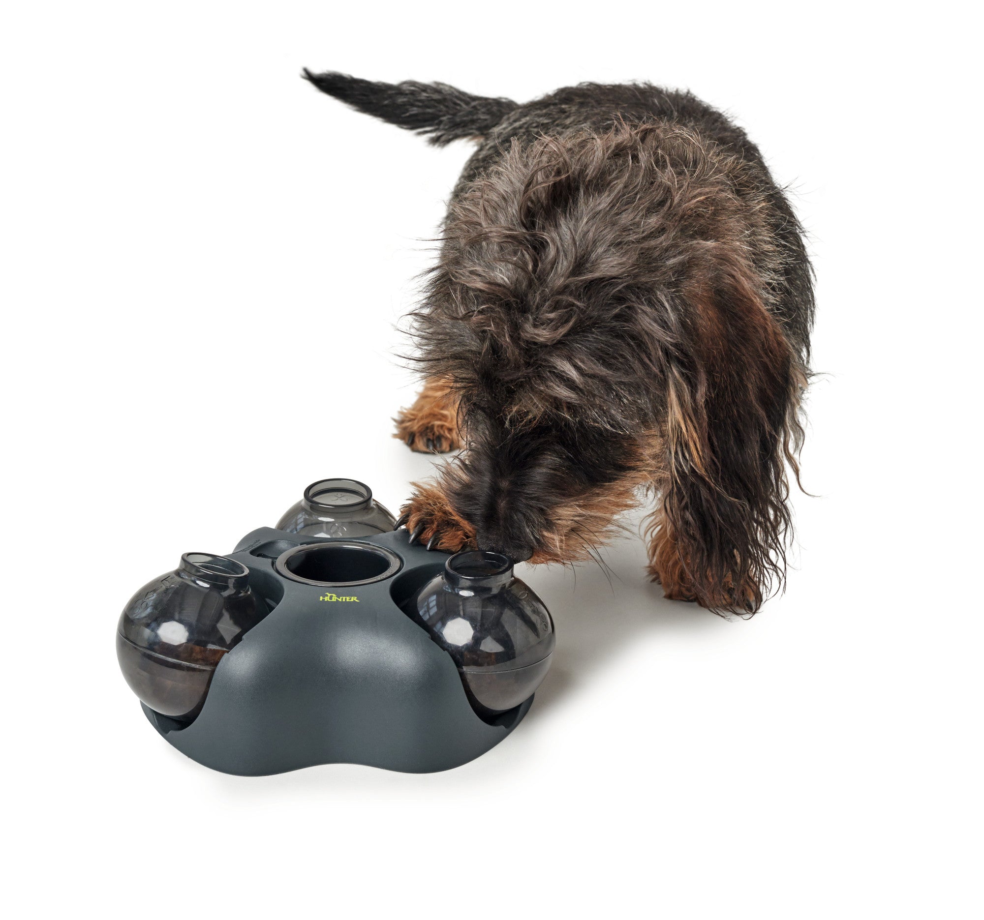 KEM Dog/Cat toy - Hunter-petstore -interactive brainteaser for dogs and cats -can be filled with snacks -including a practical funnel