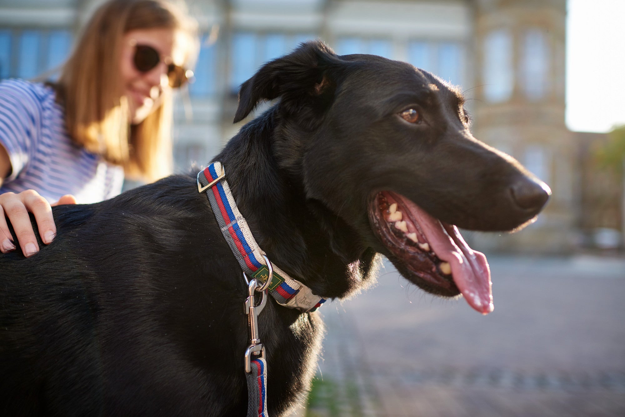 DAVAO Alu-Strong Collar - Hunter-petstore -extremely soft nylon material -fashionable stripes -robust ALU-STRONG clasp