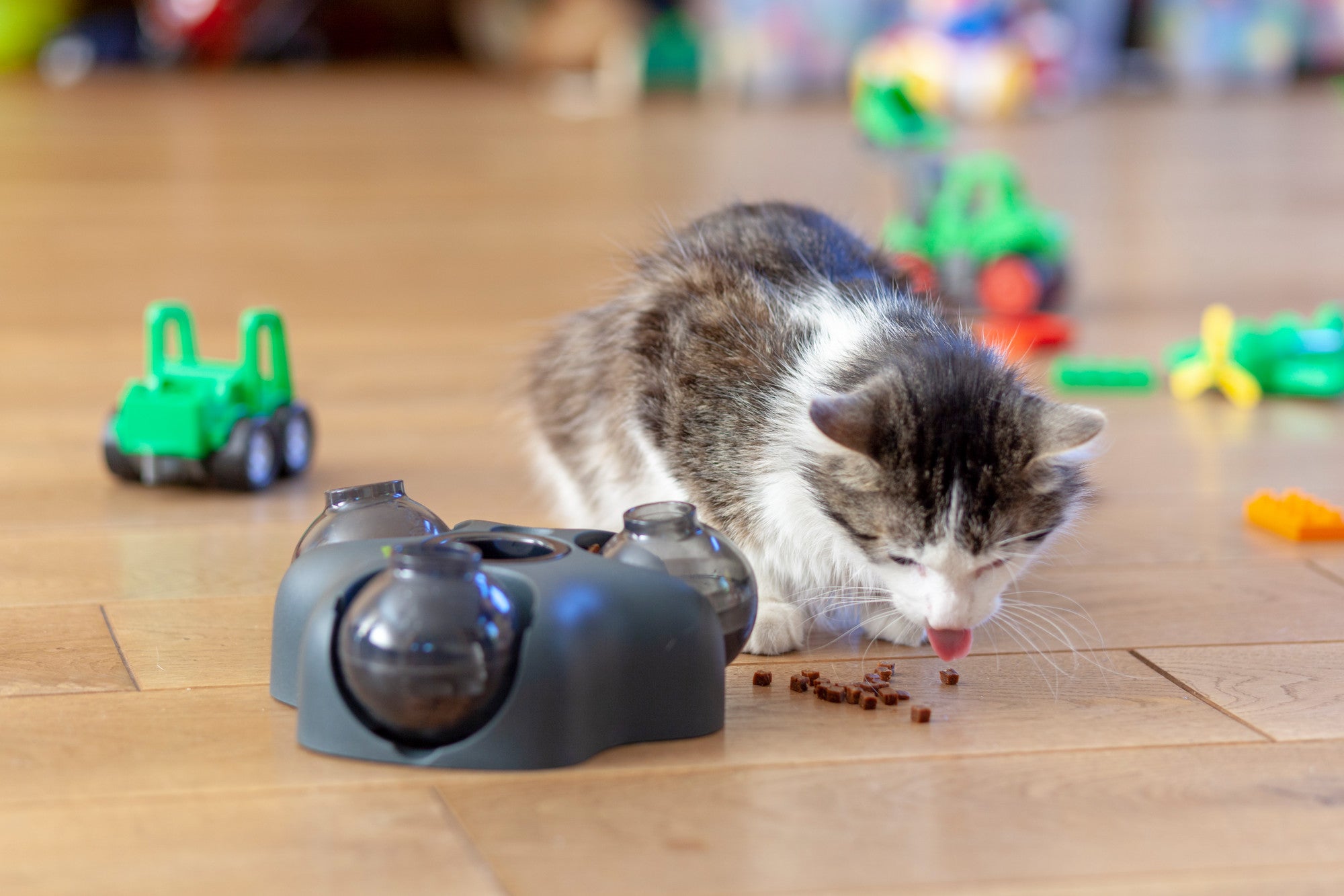 KEM Dog/Cat toy - Hunter-petstore -interactive brainteaser for dogs and cats -can be filled with snacks -including a practical funnel