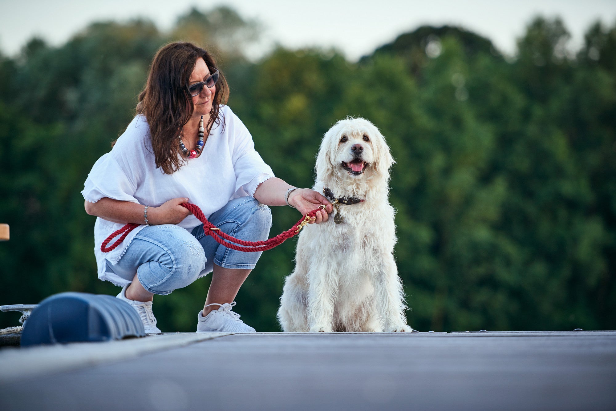 LIST Training leash - Hunter-petstore -nautical rope look -robust braiding -brass fittings -detachable brass badge -individually adjustable (rings are secured with knots that can be slid up the leash) -Ahoy there!