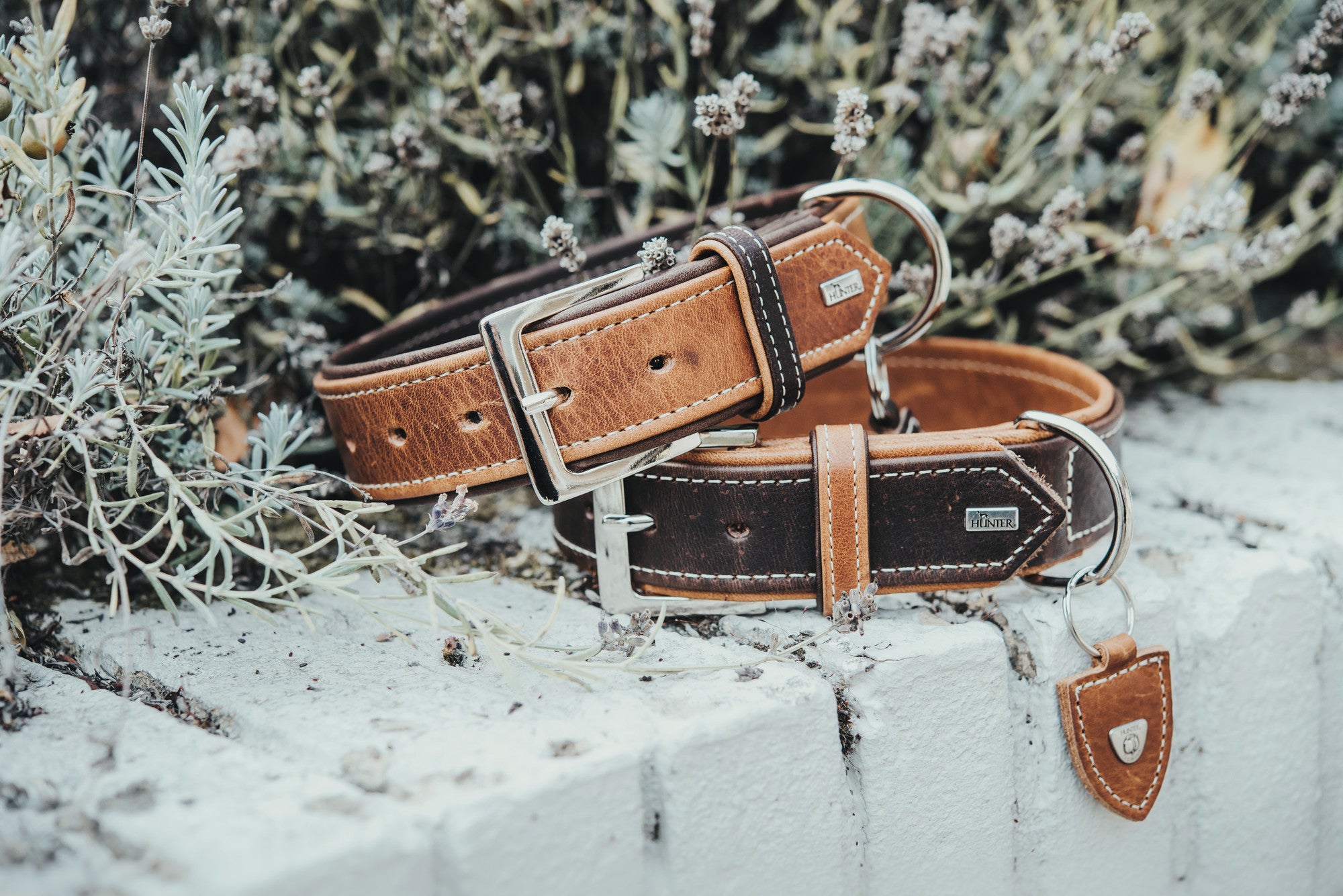TARA Collar - Hunter-petstore -Classic dog collar, universally usable -With removable key ring -Elegant, rustic design -Supple and hard-wearing -Water- and dirt-repellent -Textile inner reinforcement for more stability -Made in Germany