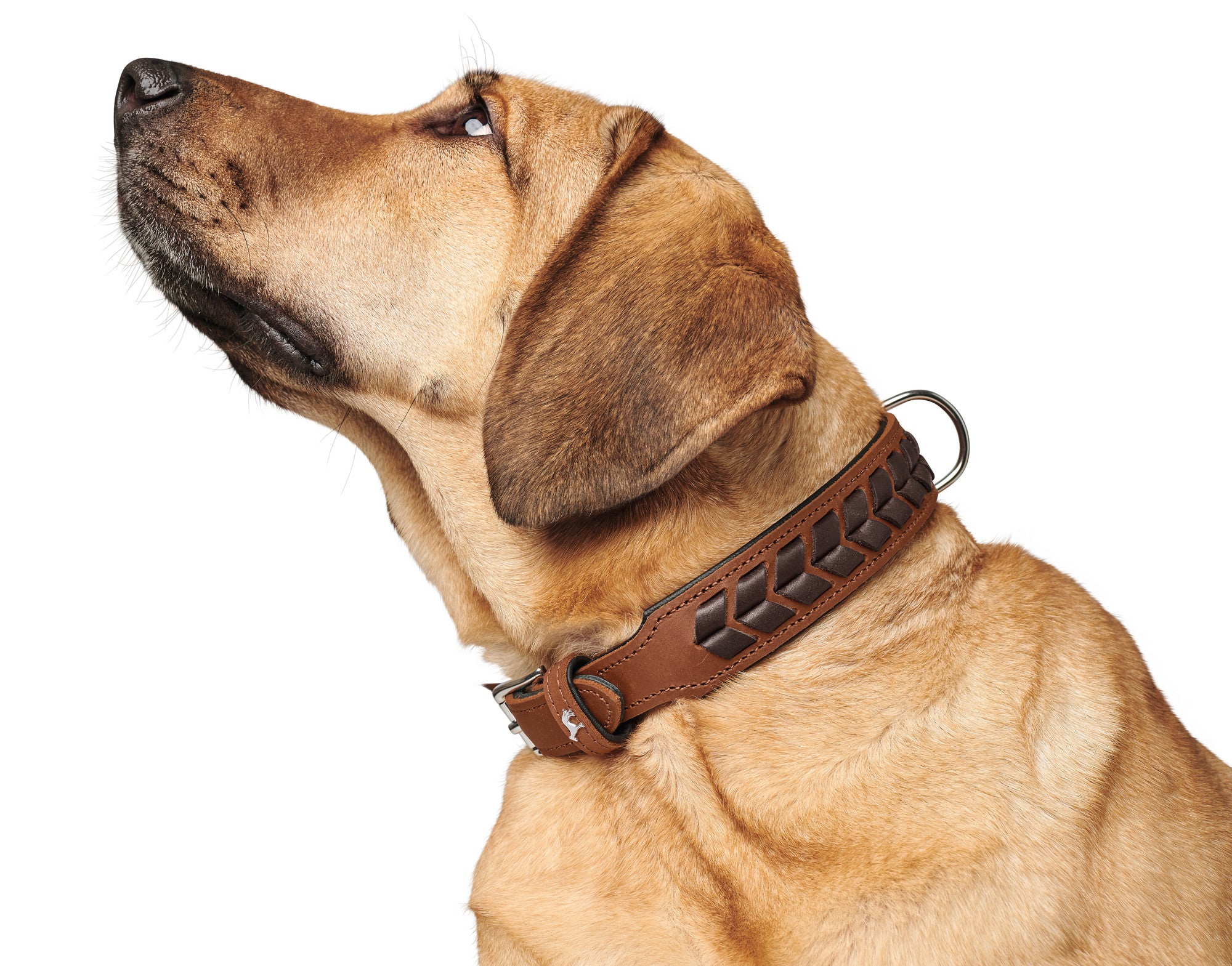 EL PASO Collar - Hunter-petstore -new edition of the eponymous classic from the HUNTER range -hand-braided -made in Germany