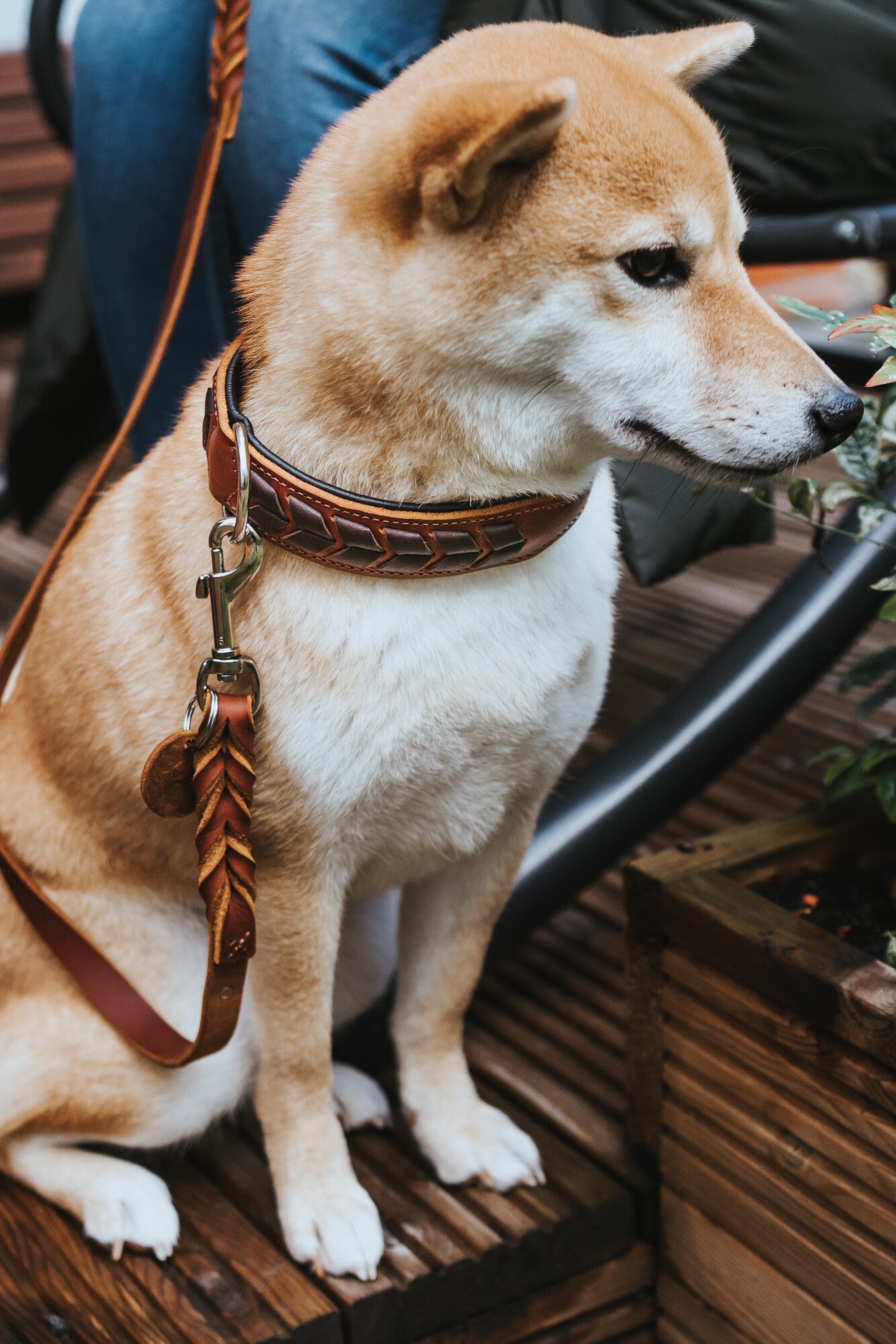 EL PASO Collar - Hunter-petstore -new edition of the eponymous classic from the HUNTER range -hand-braided -made in Germany