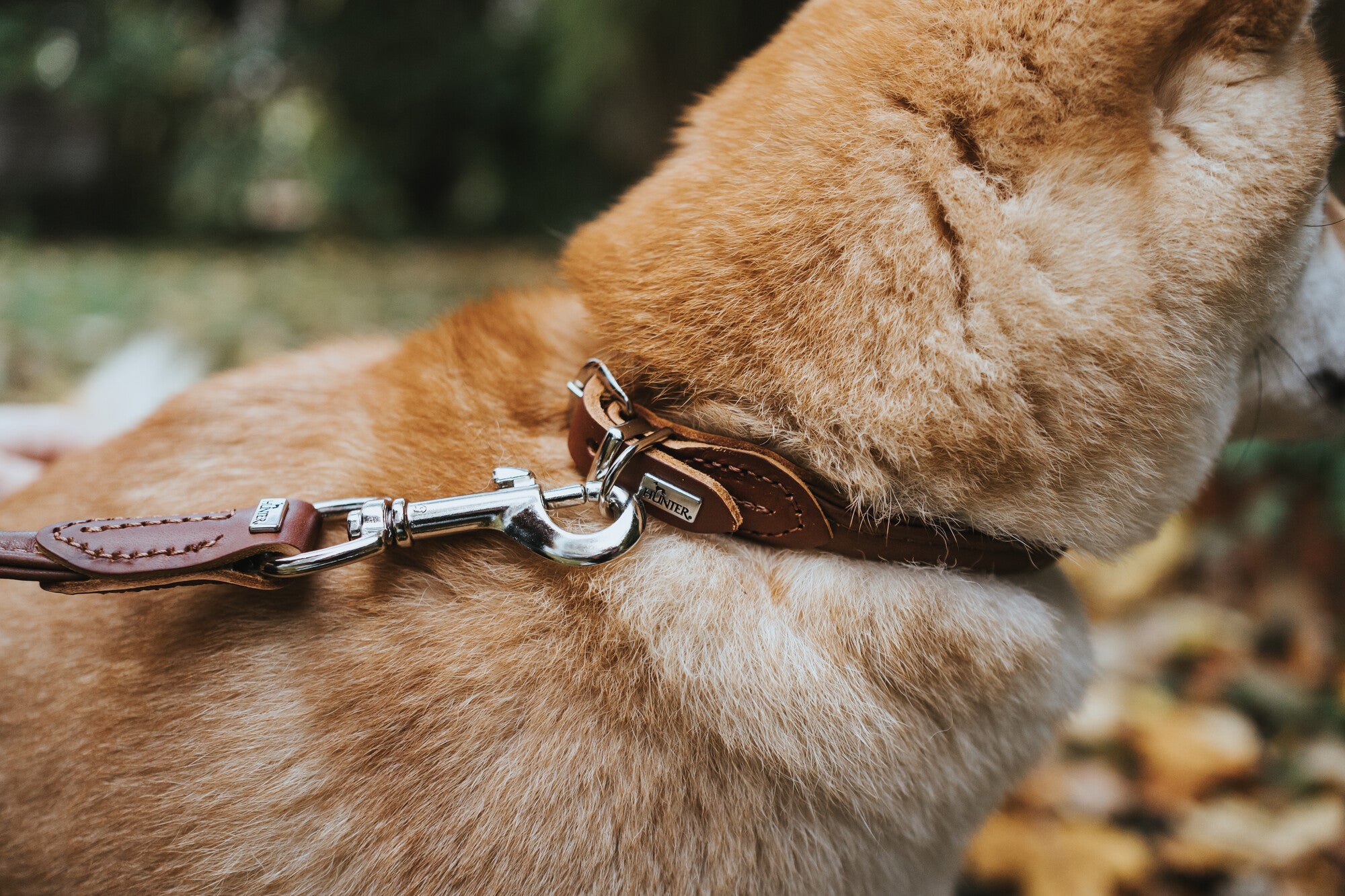 R&S Collar - Hunter-petstore -made of soft cowhide nappa leather -rounded shape also suitable for long-haired dogs -pull resistant nylon liner