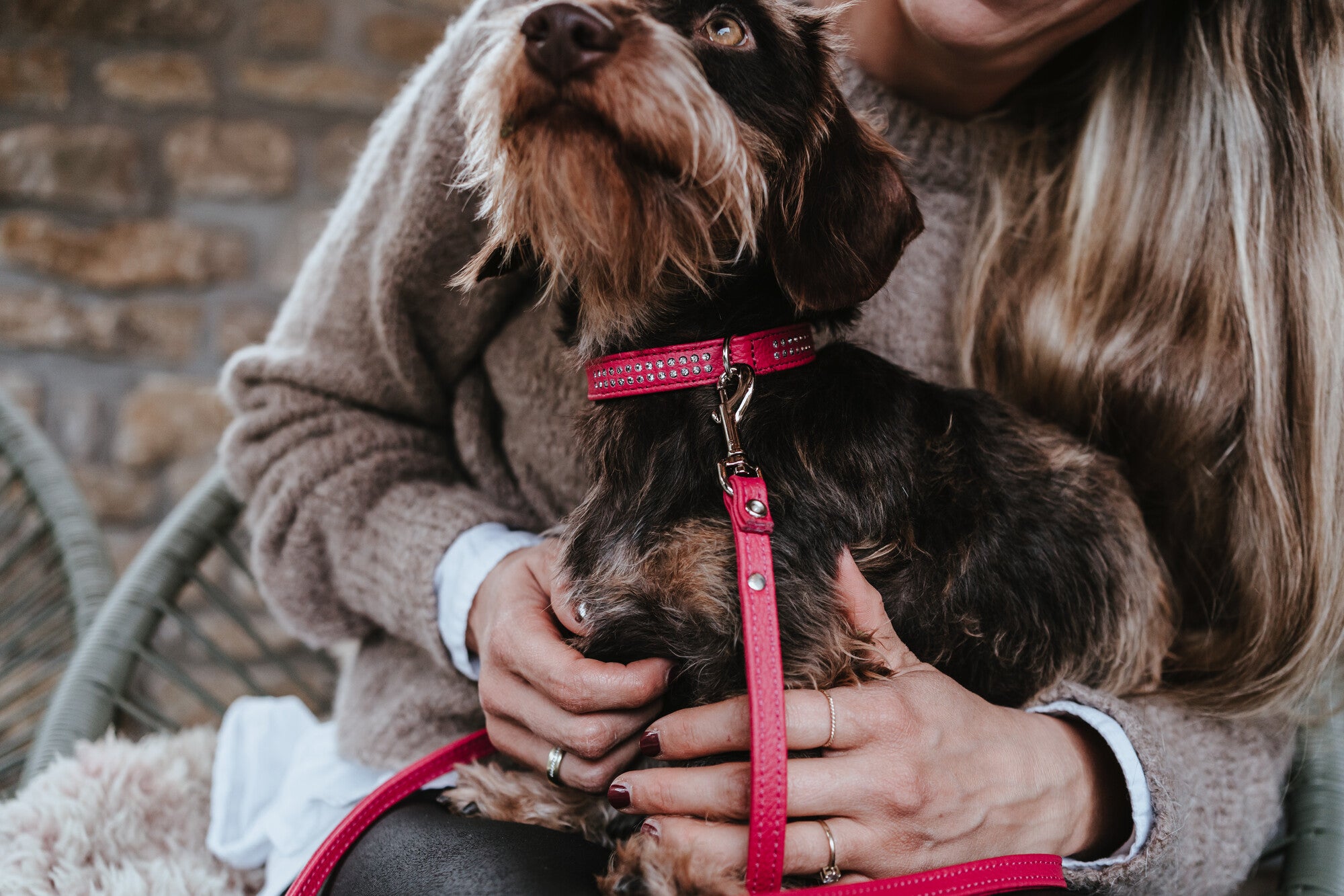 DIAMOND Petit Collar - Hunter-petstore -made of especially soft cow nappa leather -with especially small D-ring and buckle -ideal for small dogs -with decorative trimmings -made in Germany