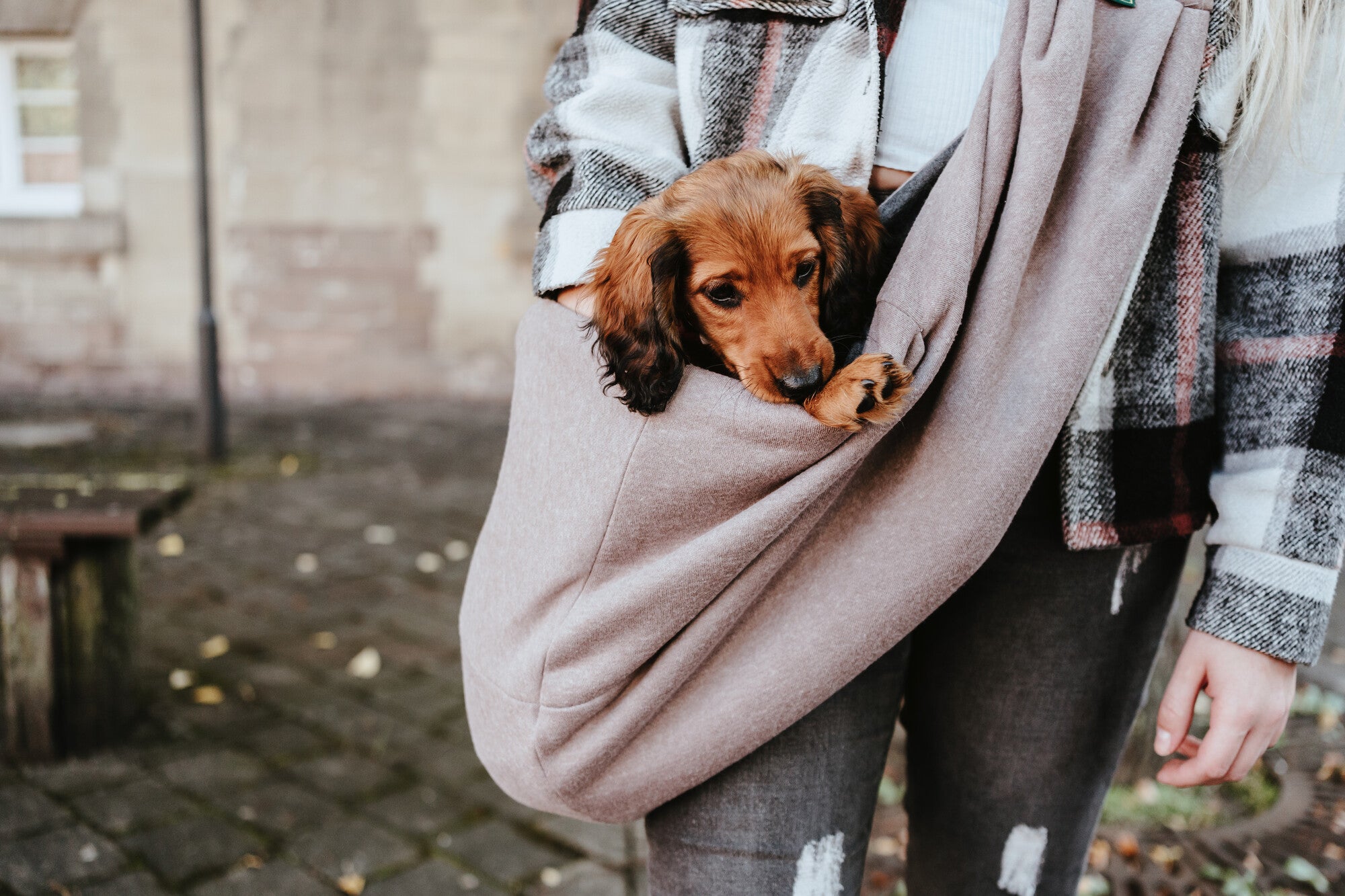 LOS ANGELES Dog sling - Hunter-petstore -suitable for puppies and small dogs up to max. 17.6 lbs -with snap hook to secure the animal -washable at 86 °F