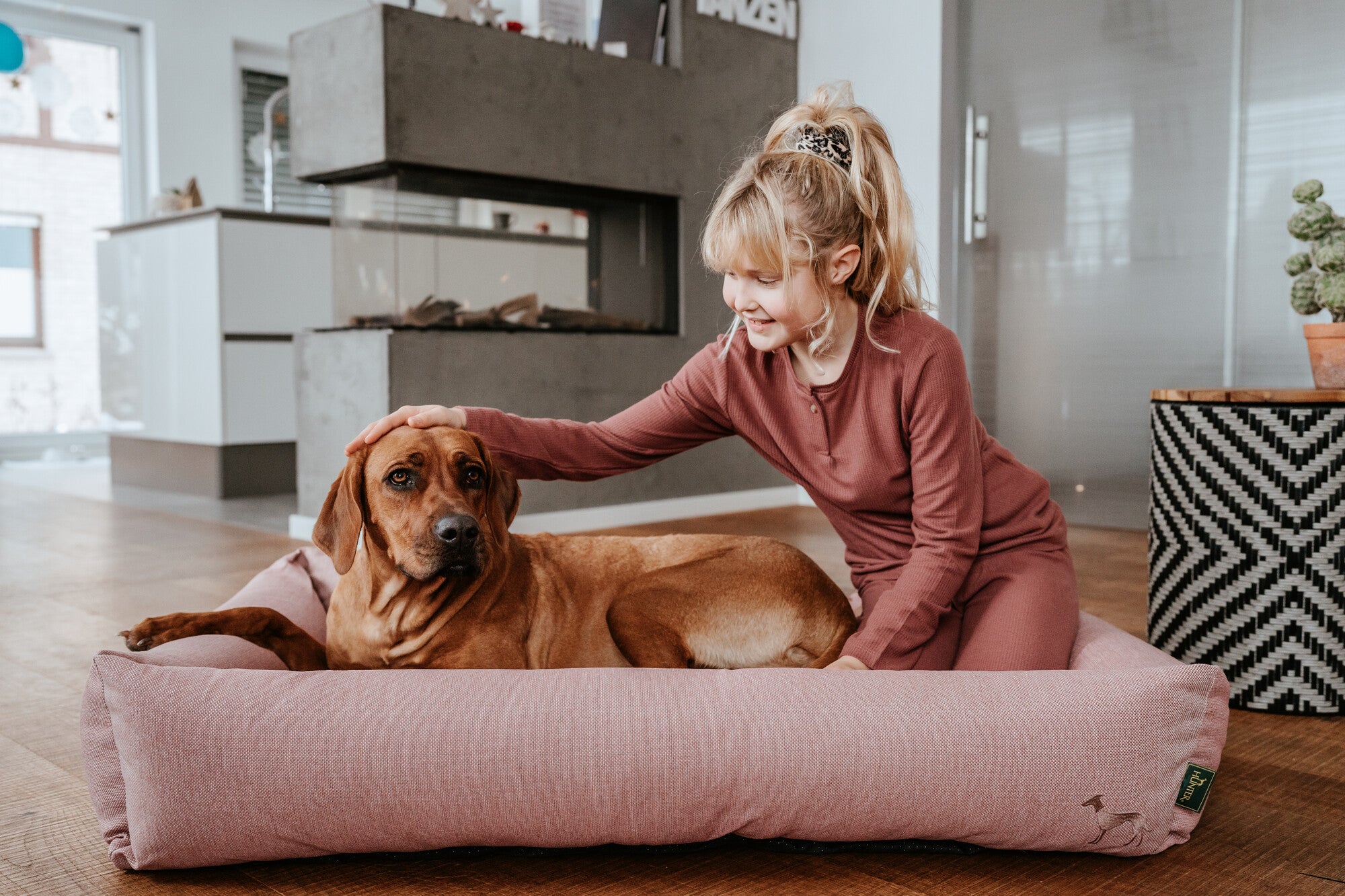 INARI Sofa - Hunter-petstore -Cozy dog sofa in soft colors -Pleasantly soft to the touch and feel -Generously upholstered with high edge -Anti-slip underside -Zippered removable cover washable at 140 °F
