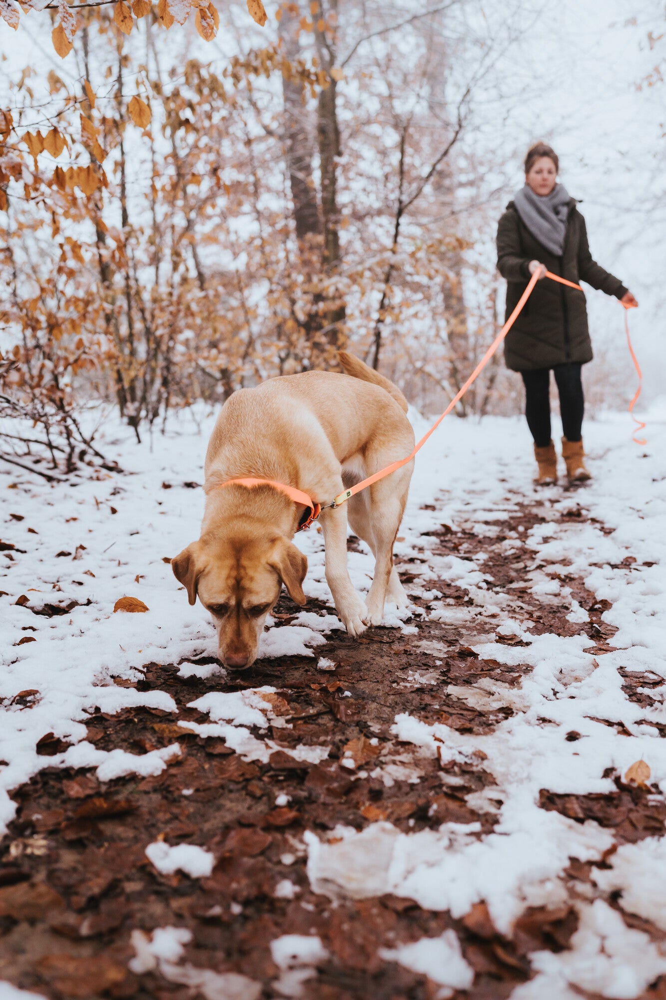 Tracking Leash CONVENIENCE without Handle Loop - Hunter-petstore -search and drag leash for dog sports and training-ideal for hunting and dog sports-without wrist loop-durable, tear-resistant and weatherproof-firm grip in warm and cold conditions-antibacterial and mould-free