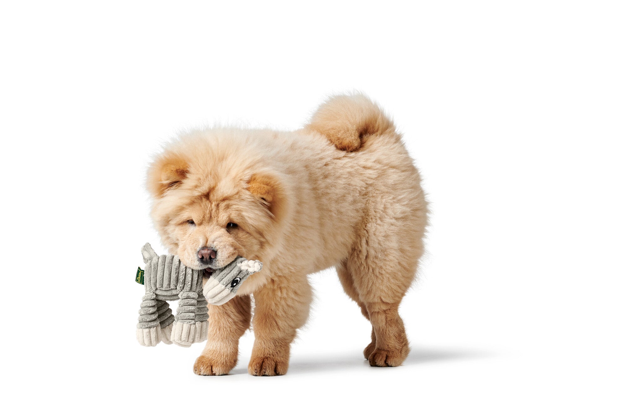 HUGGLY ZOO Donkey Dog toy - Hunter-petstore -dog toy to cuddle and love -suitable for small and medium-sized dogs -cute design -with tooth-caring rope -without squeaker -washable at 90 °F -9.84 in