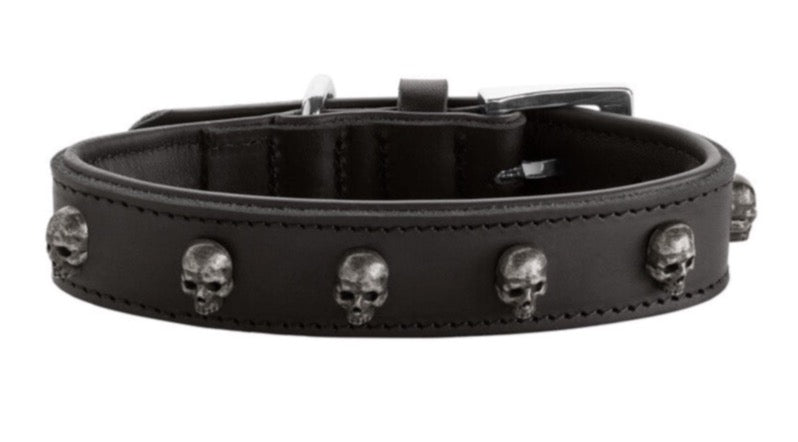 TIJUANA Collar - Hunter-petstore -classic collar, universally useable -particularly tough and hard-wearing leather -with decorative skull trim -with leather key ring -made in Germany
