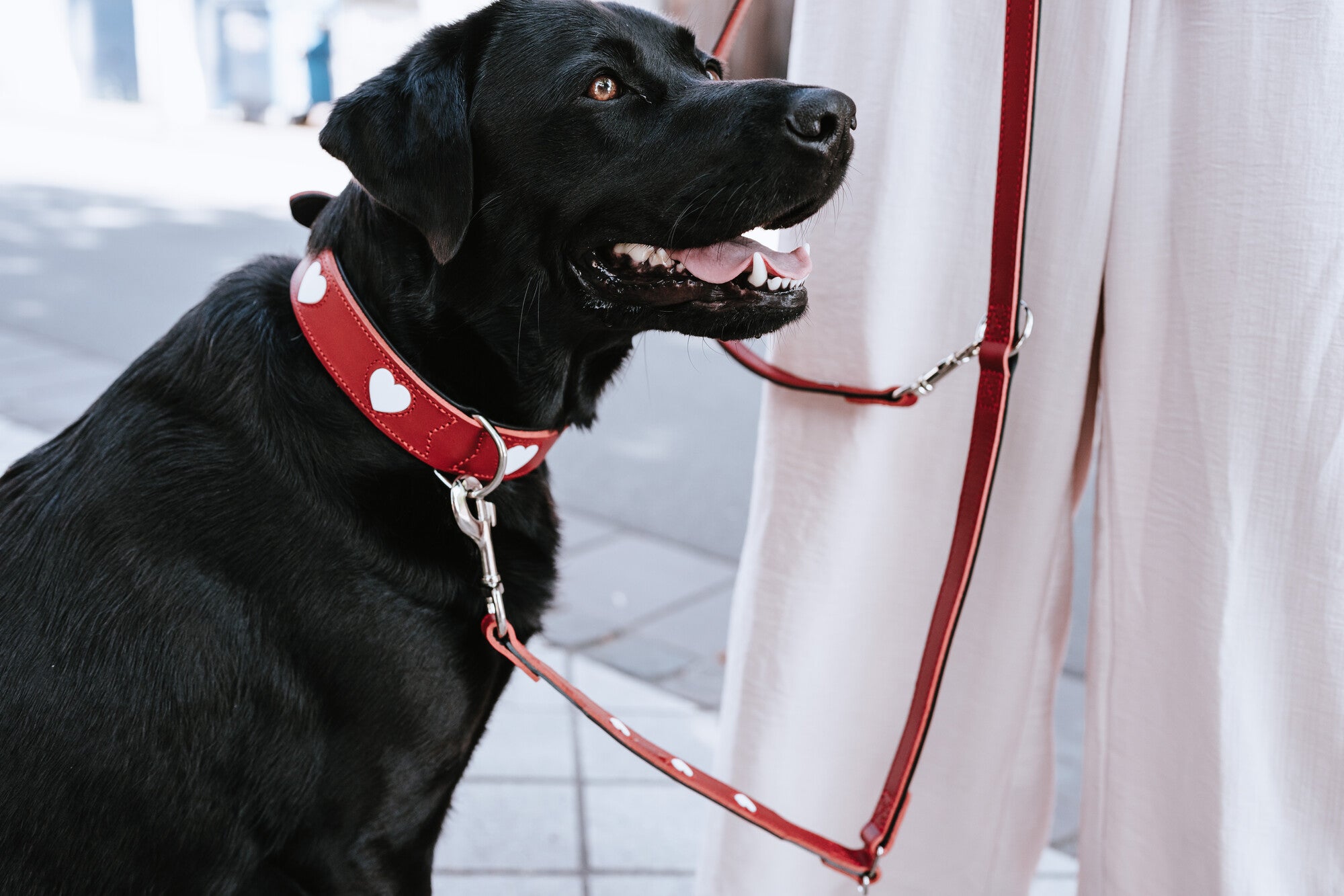 LOVE Training Leash - Hunter-petstore -especially soft cow leather -hearts are sewn in individually -3-fold adjustable -made in Germany