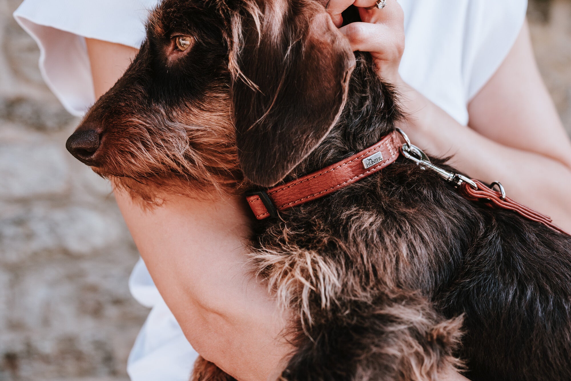 CANADIAN UP Petit Collar - Hunter-petstore -lightweight collar for small dogs and puppies -with premium leather from ecological and socially responsible production -with fittings made of light, robust plastic -with extra small D-ring and click fastener -particularly soft and supple feel -gentle processing for high wearing comfort -made in Germany