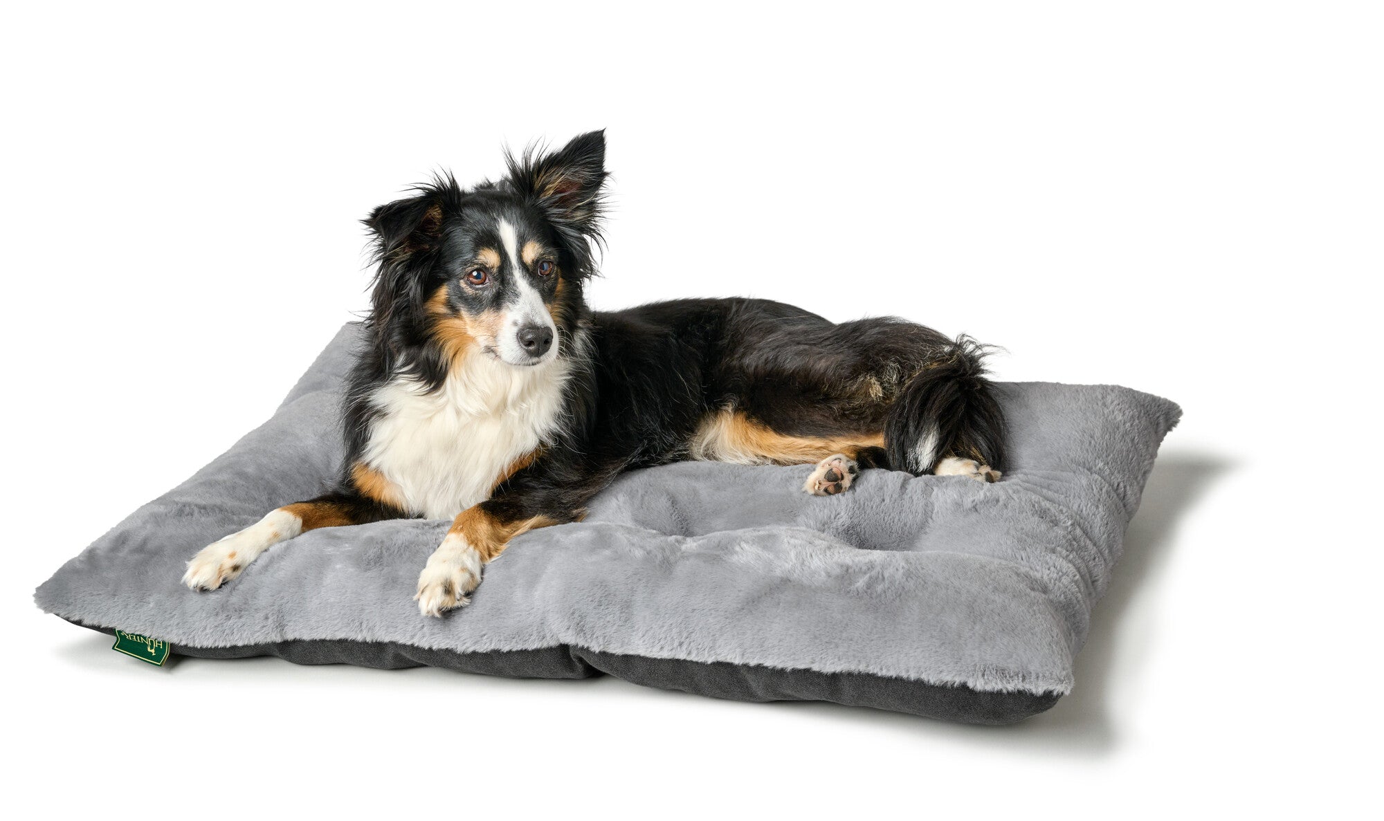 ROCKFORD Blanket - Hunter-petstore -top with very soft and cuddly plush -padded for a high lying comfort -can be rolled up, fixed with Velcro straps and transported in a space-saving way -ideal for traveling -with practical carrying handle -washable at 90°F