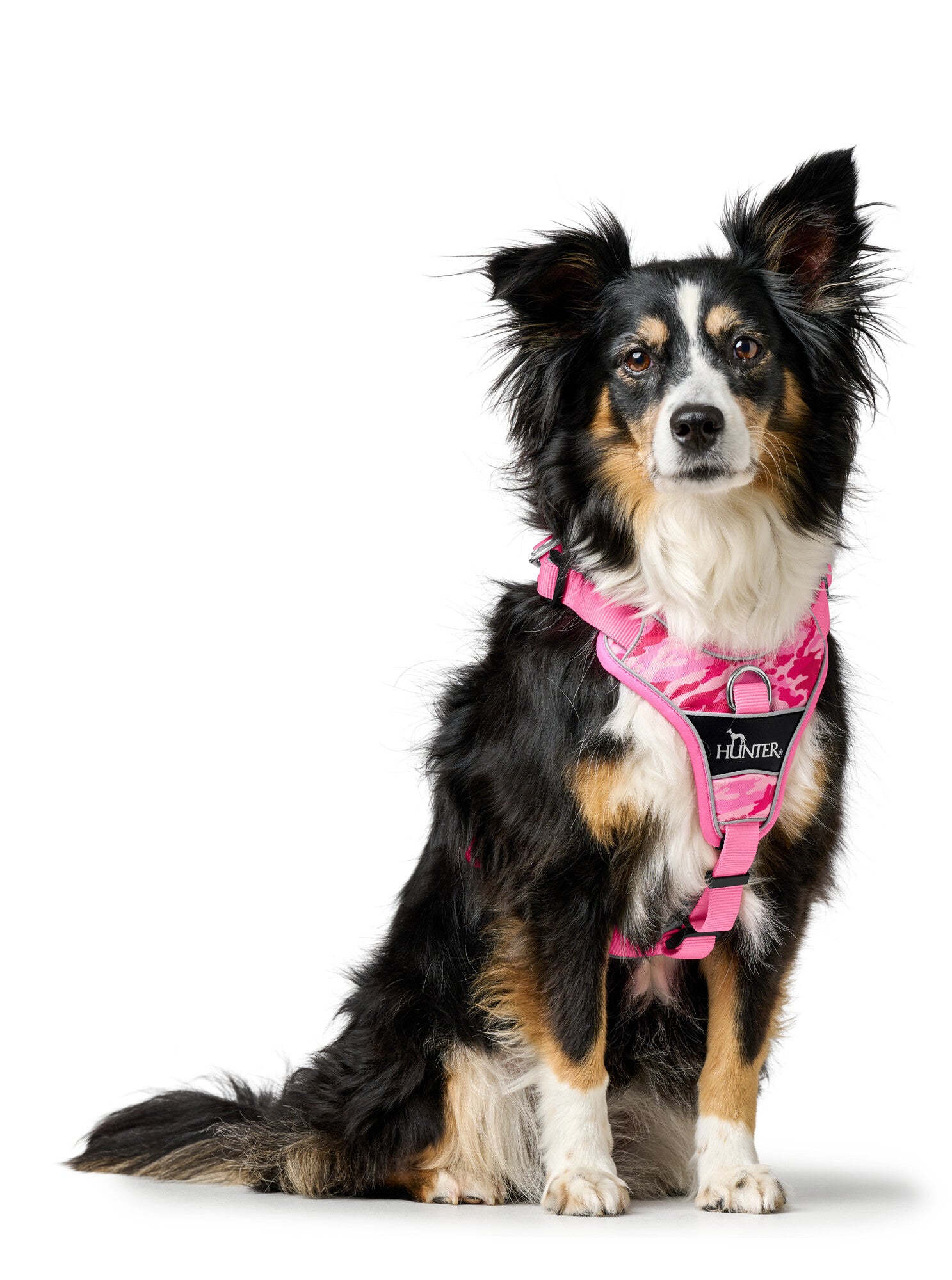 DIVO Camouflage Harness - Hunter-petstore -Fashionable camouflage pattern -Front entry option for head shy dogs -5-way adjustment for ergonomic fit -Comfortable padding with soft, breathable mesh material and neoprene -Highly reflective thanks to 3M™ Scotchlite™ Reflective material and HUNTER logo print -With two D-rings for leashing to the dog's back or chest area -D-ring in the chest area can be "hidden" with a flick of the wrist