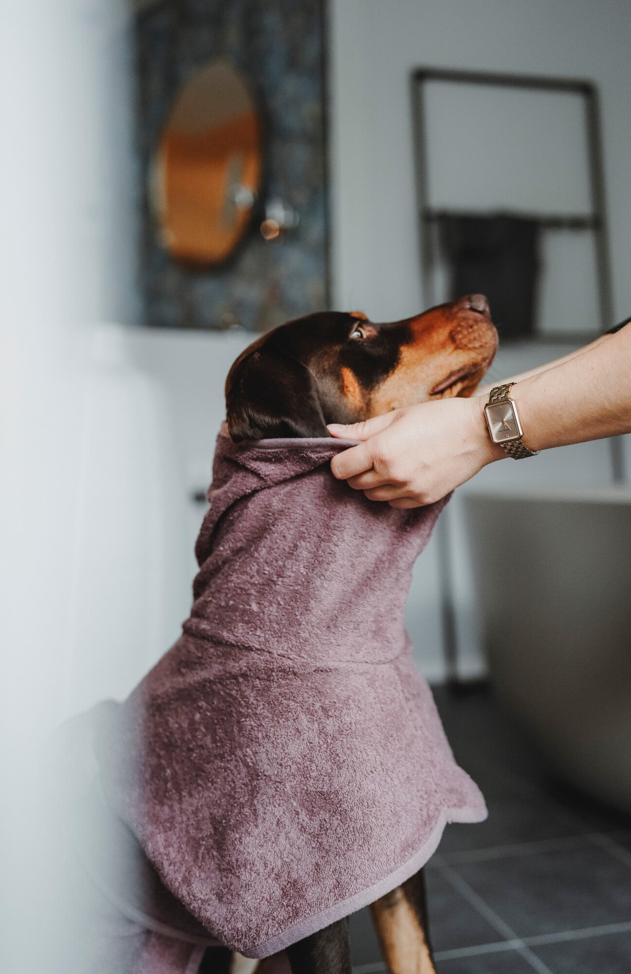 RIGA Bathrobe - Hunter-petstore -dog bathrobe made of particularly absorbent cotton -supports quick drying and protects against cooling down -protects car and furniture from dirt -easy to put on and take off -optional fastening possible by press stud underneath the tail -washable at 140 °F