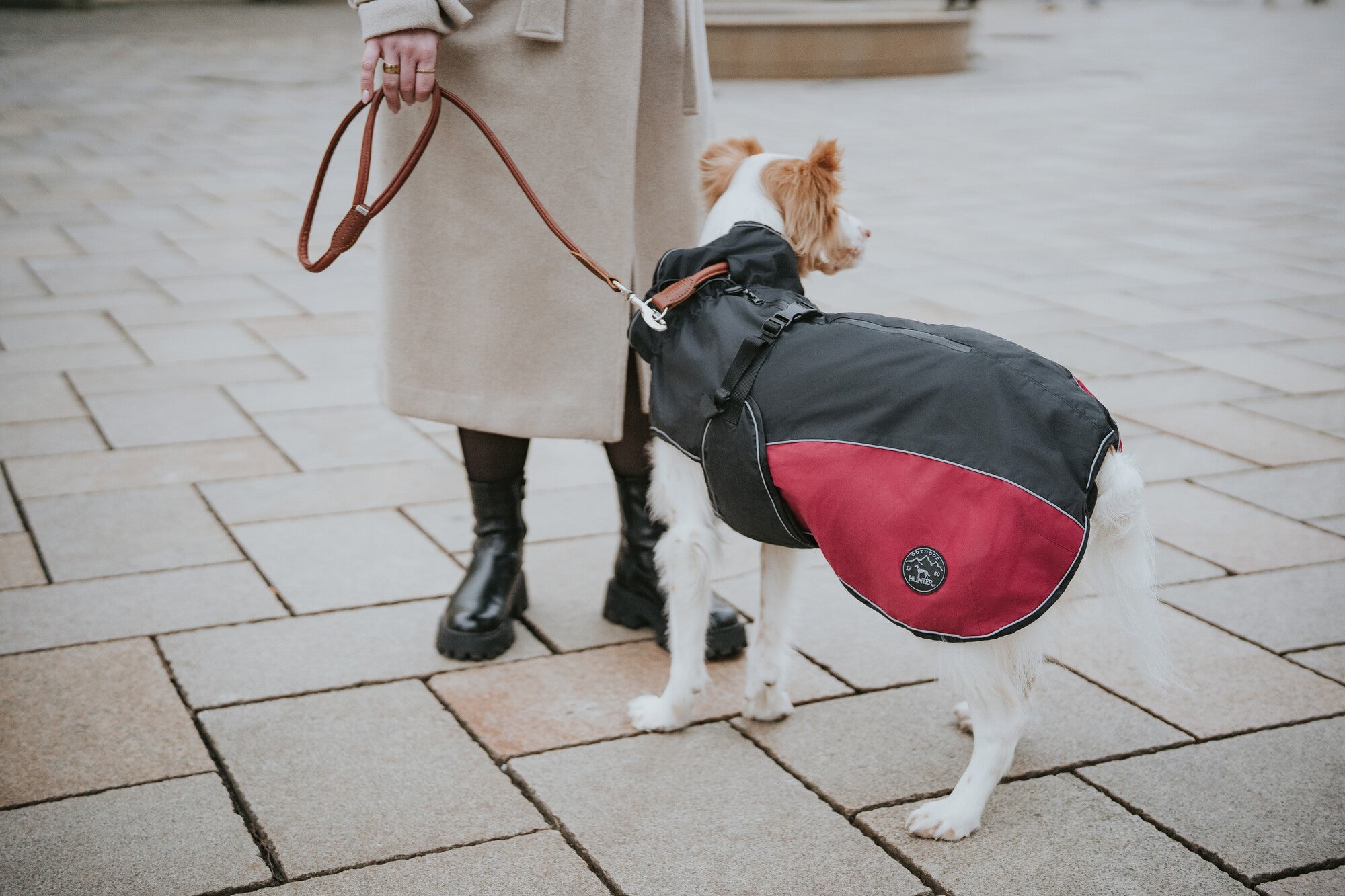 UPPSALA Coat - Hunter-petstore -Warming, plush inner lining -Soft dog coat for very cold and rainy days -With neck collar and closed belly area -Sporty design and reflective piping -Optimum freedom of movement and individually adjustable fit -Opening for the attachment of a leash to the collar and harness -Elastic, length-adjustable loops for the hind legs -Washable at 86 °F