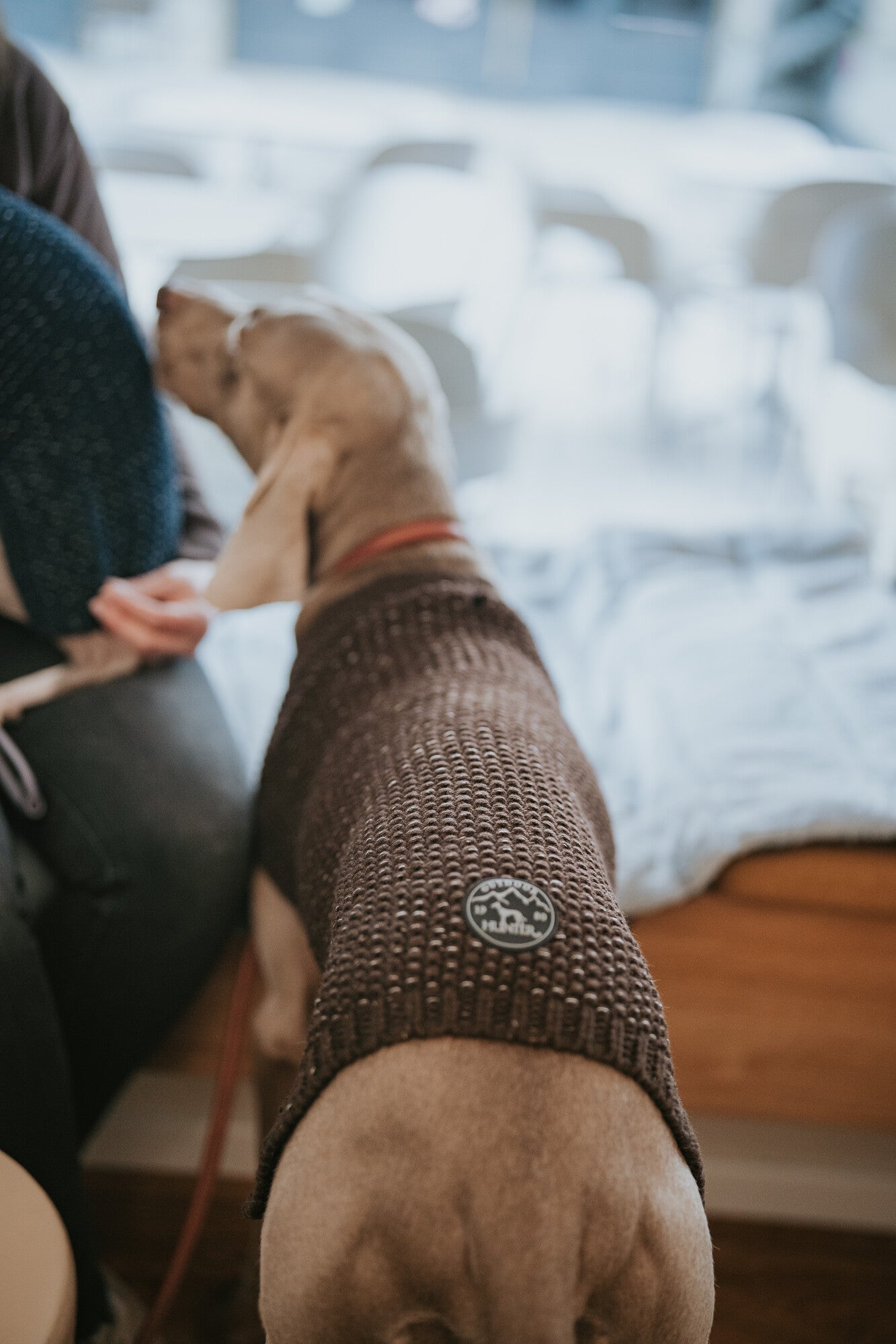 FINJA Pullover Sweater - Hunter-petstore -Warm knitted pullover for cold to very cold days -With reflective yarn for more visibility -Simple, fashionable design -Pleasantly soft and cuddly -High elasticity for optimum freedom of movement -Washable at 86 °F