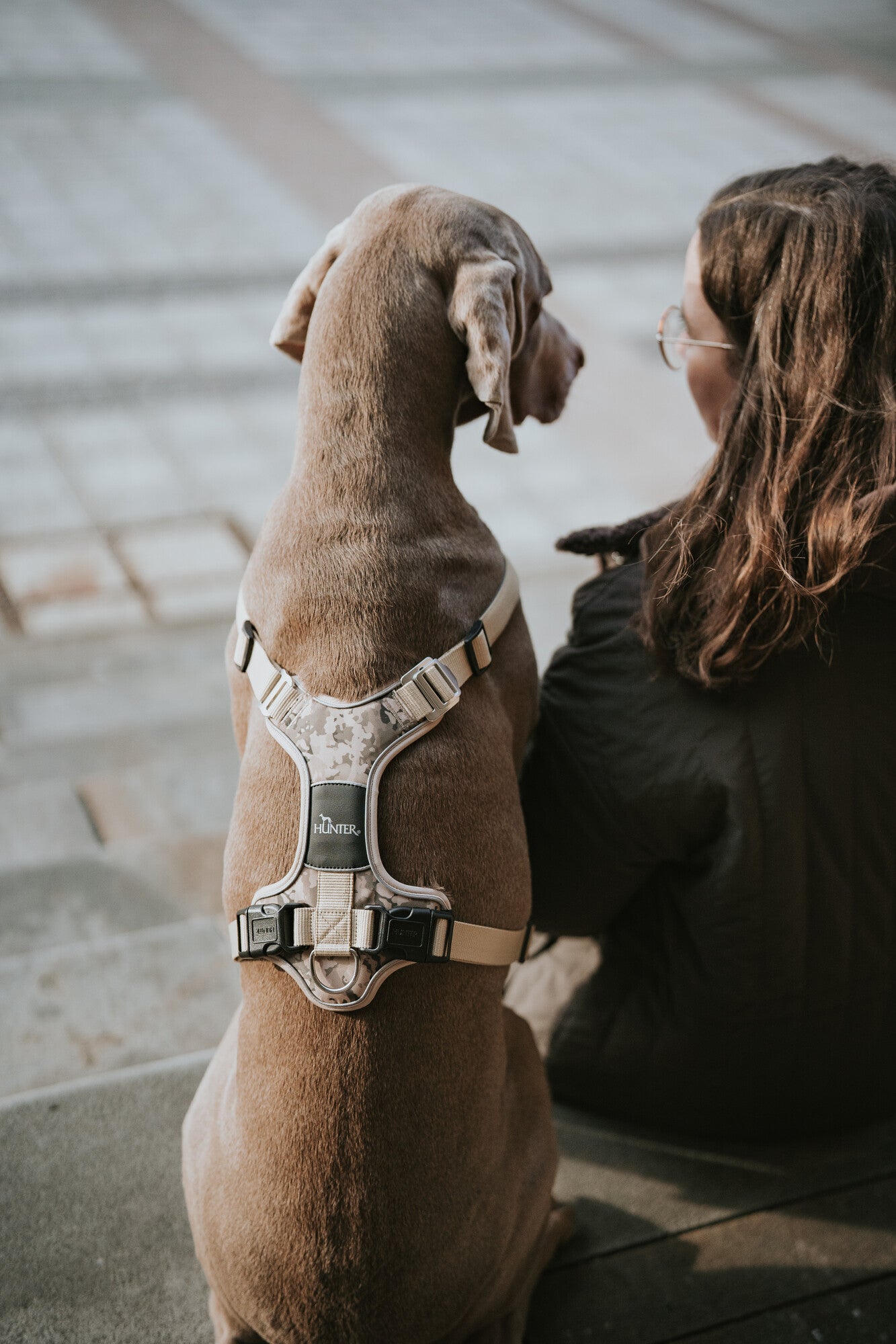 DIVO Camouflage Harness - Hunter-petstore -Fashionable camouflage pattern -Front entry option for head shy dogs -5-way adjustment for ergonomic fit -Comfortable padding with soft, breathable mesh material and neoprene -Highly reflective thanks to 3M™ Scotchlite™ Reflective material and HUNTER logo print -With two D-rings for leashing to the dog's back or chest area -D-ring in the chest area can be "hidden" with a flick of the wrist