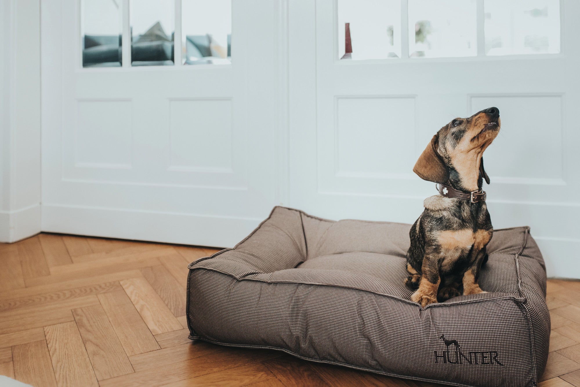 LANCASTER Quilted Bed - Hunter-petstore -Quilted dog bed for resting and relaxing -Elegant, quiet design with discreet Pepita pattern -With a high, comfortable filling -Pleasant and soft feel -Slip-resistant underside -Cover removable by zipper and washable at 140 °F