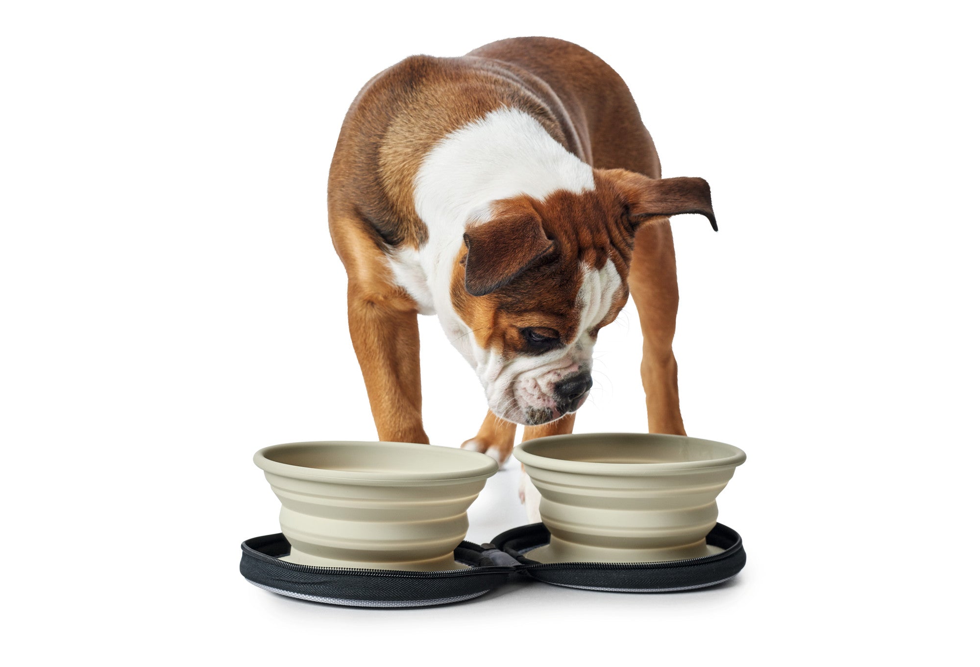 LIST Travel Bowls - Hunter-petstore -foldable food and drink bowl with pocket and zipper -ideal for traveling and on the road -silicone material -small packing size -easy to clean and dishwasher-safe