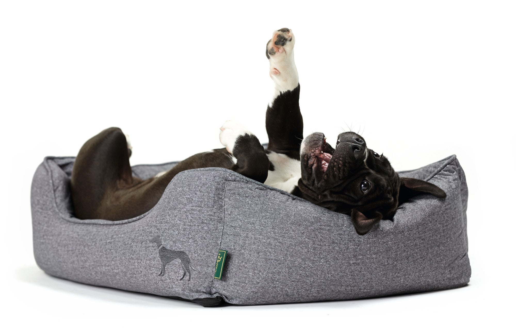 BOSTON Sofa - Hunter-petstore -Cozy, classic dog sofa with reversible cushions -Reversible cushions, with soft plush trimming on one side -Bulky filling and pleasant feel -With zipper removable cover -Slip-resistant underside -Cover washable at 140°F