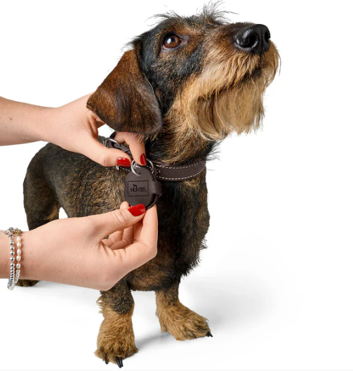 Dog Tag Case Pendant AALBORG - Hunter-petstore -Pendant to attach to the collar -Case for dog tags such as tax disc or name tag -Protects the dog tags -Prevents jingling -Made in Germany