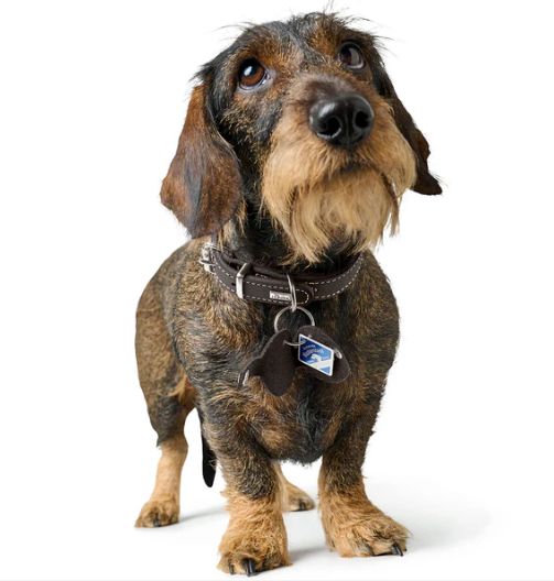 Dog Tag Case Pendant AALBORG - Hunter-petstore -Pendant to attach to the collar -Case for dog tags such as tax disc or name tag -Protects the dog tags -Prevents jingling -Made in Germany