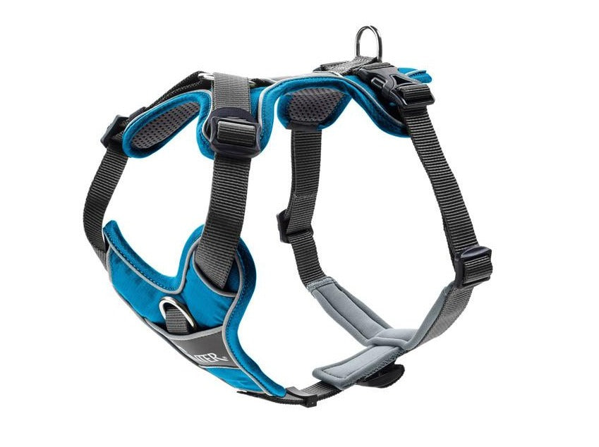 DIVO Harness - Hunter-petstore -five-point adjustment -ergonomic fit -comfortable padding with soft, breathable mesh material and neoprene -highly reflective thanks to the 3M™ Scotchlite™ Reflective Material and HUNTER logo print -features two D-rings for attaching a leash to the dog’s back and chest -the D-ring on the chest can be tucked away easily