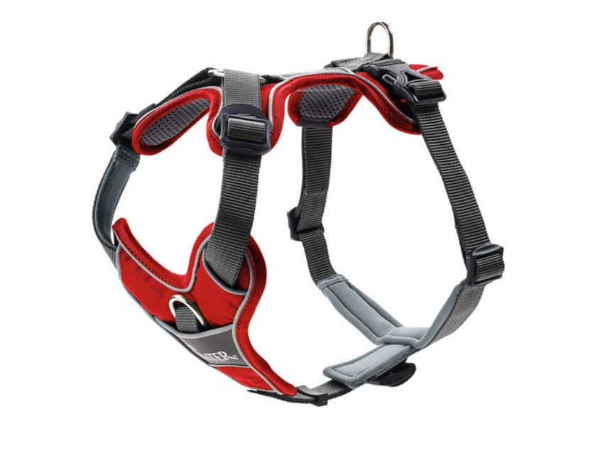 DIVO Harness - Hunter-petstore -five-point adjustment -ergonomic fit -comfortable padding with soft, breathable mesh material and neoprene -highly reflective thanks to the 3M™ Scotchlite™ Reflective Material and HUNTER logo print -features two D-rings for attaching a leash to the dog’s back and chest -the D-ring on the chest can be tucked away easily