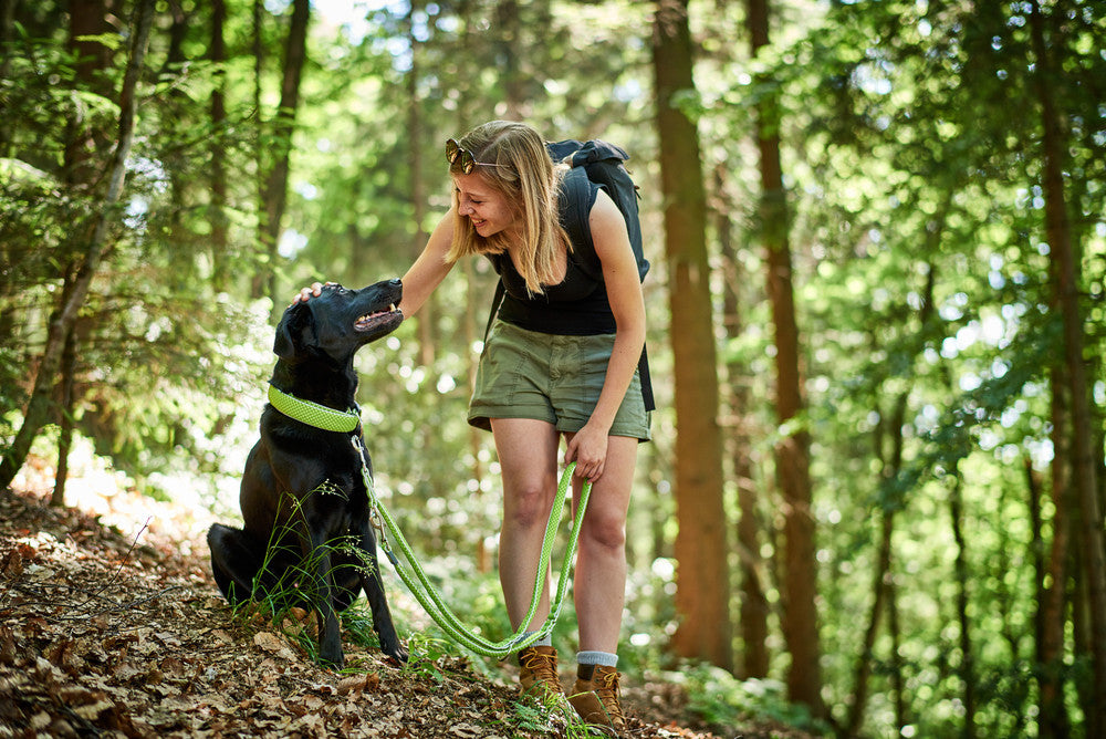 woman petting dog in woods