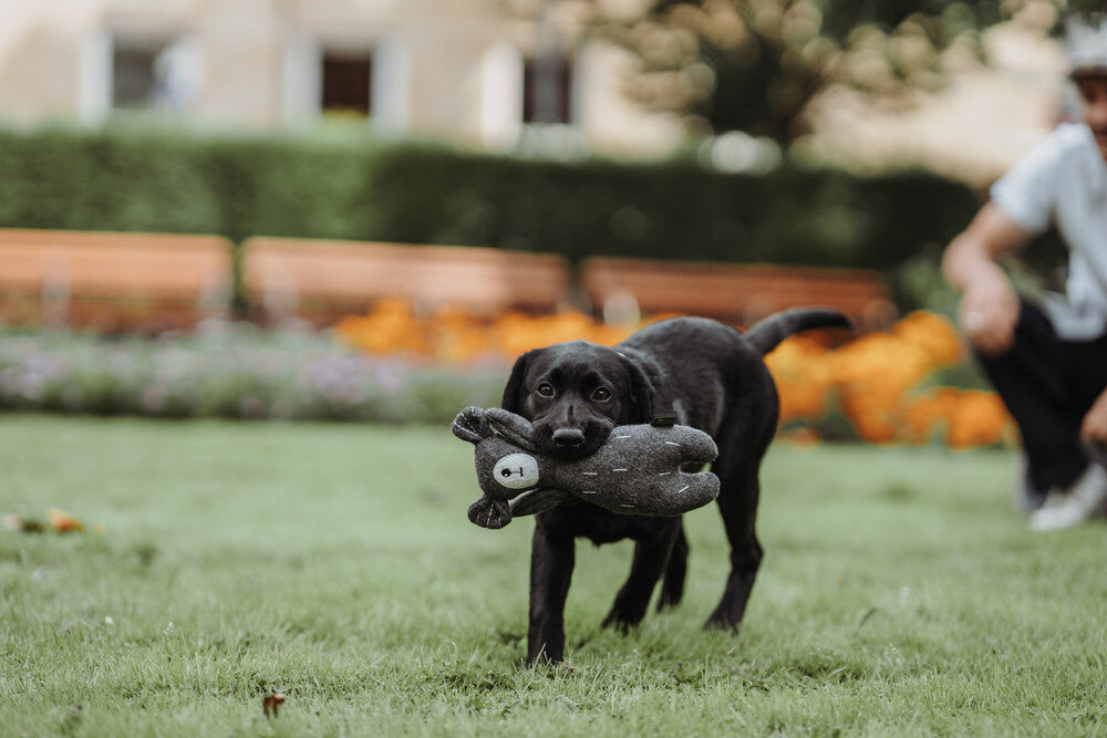 TIRANA Bear Dog toy - Hunter-petstore -cute animal dog toy, without squeaker -for playing, cuddling and loving -made of up-cycled outer material and recycled filling -attractive yet tough material mix of wool and polyester -washable at 86 °F -10.63 in