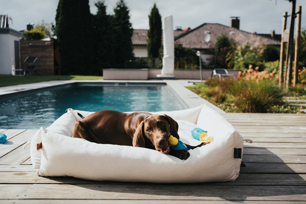 Cooling dog toy ALASKA Dolphin - Hunter-petstore -innovative TPR dog toy with cooling effect -suitable for small to medium dogs -fill with water and freeze -freshness kick guaranteed: Cool water is released to the outside during play -can help ease teething in puppies and young dogs -floatable -for indoor and outdoor fun -6.30 in